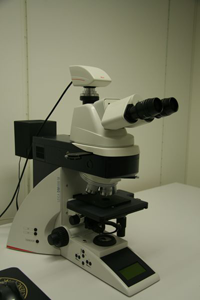 Picture of Microscope BF/DF Leica Cell Lab